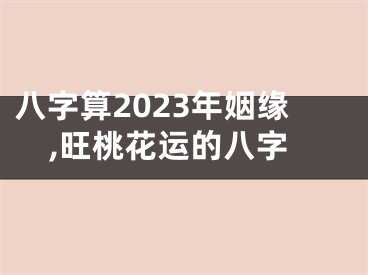 八字算2023年姻缘,旺桃花运的八字