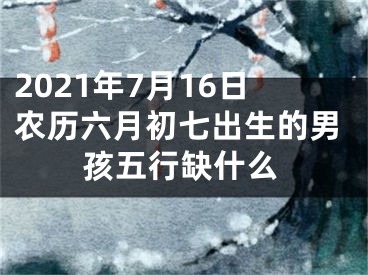 2021年7月16日农历六月初七出生的男孩五行缺什么