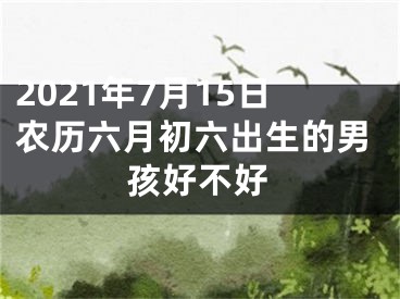 2021年7月15日农历六月初六出生的男孩好不好