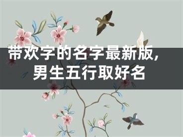 带欢字的名字最新版,男生五行取好名