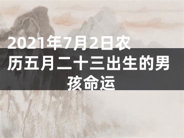 2021年7月2日农历五月二十三出生的男孩命运