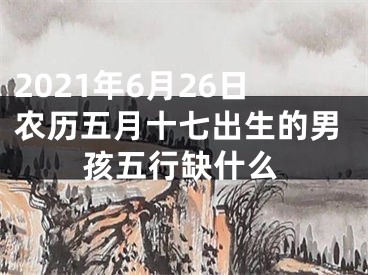 2021年6月26日农历五月十七出生的男孩五行缺什么