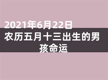 2021年6月22日农历五月十三出生的男孩命运