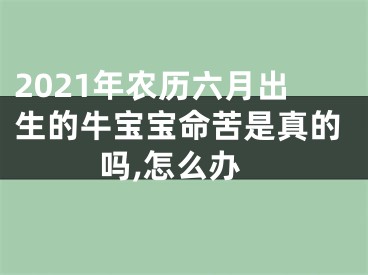 2021年农历六月出生的牛宝宝命苦是真的吗,怎么办