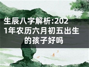 生辰八字解析:2021年农历六月初五出生的孩子好吗