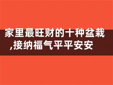 家里最旺财的十种盆栽,接纳福气平平安安