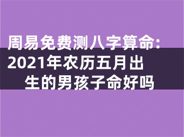 周易免费测八字算命:2021年农历五月出生的男孩子命好吗