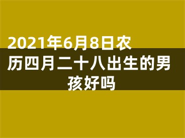 2021年6月8日农历四月二十八出生的男孩好吗