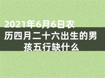 2021年6月6日农历四月二十六出生的男孩五行缺什么