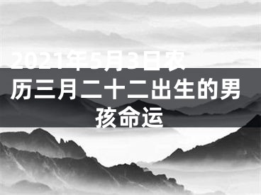 2021年5月3日农历三月二十二出生的男孩命运