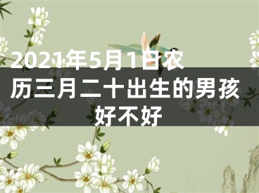 2021年5月1日农历三月二十出生的男孩好不好