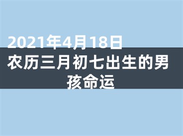 2021年4月18日农历三月初七出生的男孩命运