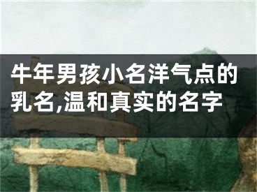 牛年男孩小名洋气点的乳名,温和真实的名字