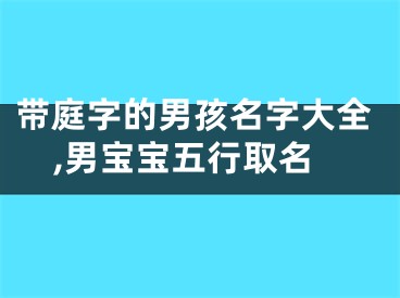 带庭字的男孩名字大全,男宝宝五行取名