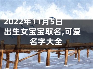 2022年11月5日出生女宝宝取名,可爱名字大全