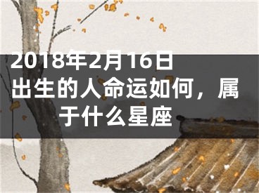 2018年2月16日出生的人命运如何，属于什么星座 