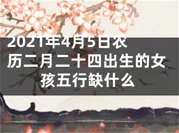 2021年4月5日农历二月二十四出生的女孩五行缺什么