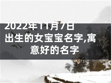 2022年11月7日出生的女宝宝名字,寓意好的名字