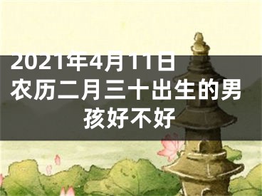 2021年4月11日农历二月三十出生的男孩好不好