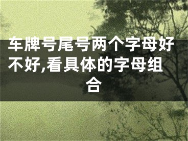 车牌号尾号两个字母好不好,看具体的字母组合