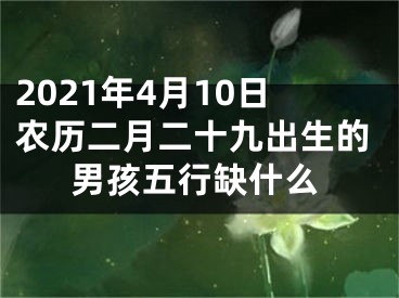 2021年4月10日农历二月二十九出生的男孩五行缺什么