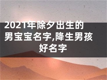 2021年除夕出生的男宝宝名字,降生男孩好名字