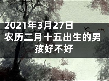 2021年3月27日农历二月十五出生的男孩好不好