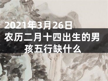 2021年3月26日农历二月十四出生的男孩五行缺什么