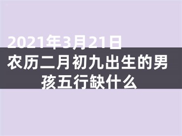 2021年3月21日农历二月初九出生的男孩五行缺什么