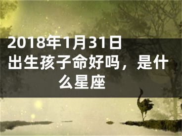 2018年1月31日出生孩子命好吗，是什么星座 