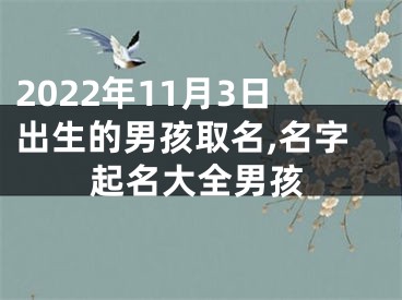 2022年11月3日出生的男孩取名,名字起名大全男孩