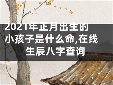 2021年正月出生的小孩子是什么命,在线生辰八字查询