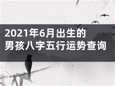 2021年6月出生的男孩八字五行运势查询