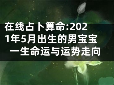 在线占卜算命:2021年5月出生的男宝宝一生命运与运势走向