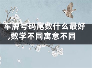 车牌号码尾数什么最好,数学不同寓意不同