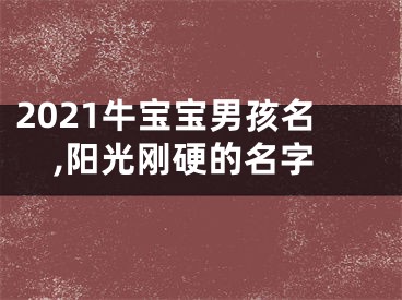 2021牛宝宝男孩名,阳光刚硬的名字