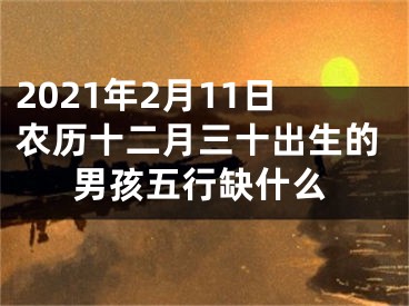 2021年2月11日农历十二月三十出生的男孩五行缺什么