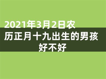 2021年3月2日农历正月十九出生的男孩好不好