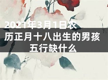 2021年3月1日农历正月十八出生的男孩五行缺什么