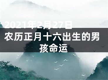 2021年2月27日农历正月十六出生的男孩命运