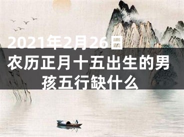 2021年2月26日农历正月十五出生的男孩五行缺什么