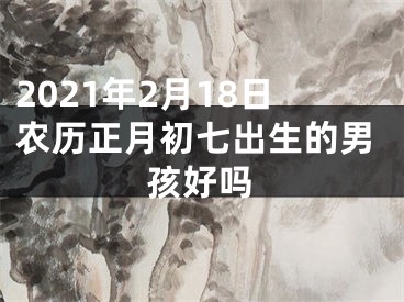 2021年2月18日农历正月初七出生的男孩好吗