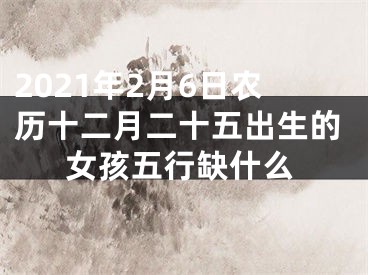 2021年2月6日农历十二月二十五出生的女孩五行缺什么