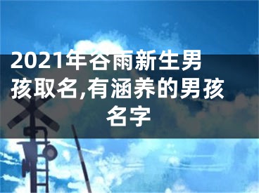 2021年谷雨新生男孩取名,有涵养的男孩名字