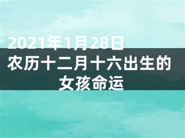 2021年1月28日农历十二月十六出生的女孩命运