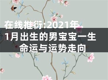 在线推衍:2021年1月出生的男宝宝一生命运与运势走向