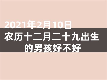 2021年2月10日农历十二月二十九出生的男孩好不好