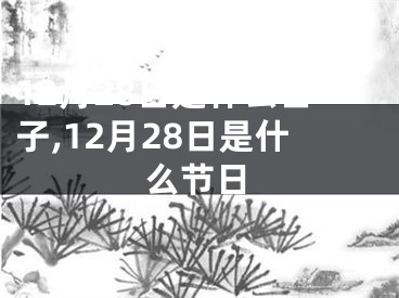 12月28日是什么日子,12月28日是什么节日