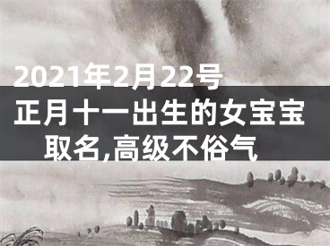 2021年2月22号正月十一出生的女宝宝取名,高级不俗气