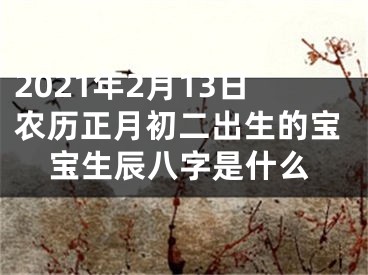 2021年2月13日农历正月初二出生的宝宝生辰八字是什么